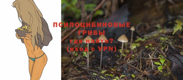 ешки Кулебаки