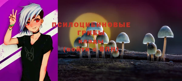 ECSTASY Кукмор