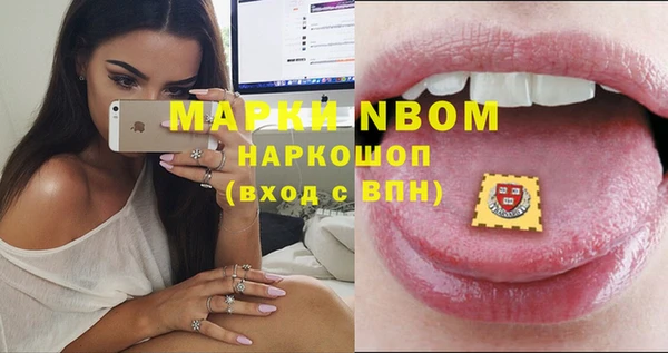 ECSTASY Кукмор