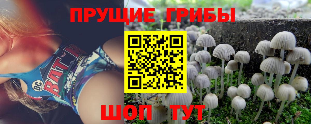 Галлюциногенные грибы GOLDEN TEACHER  Вход с VPN  Узловая 
